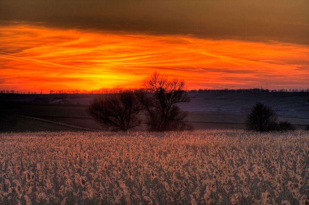 Ein Hauch von Frühling