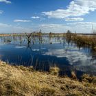 Ein Hauch von Frühling im Goldenstedter Moor -2-