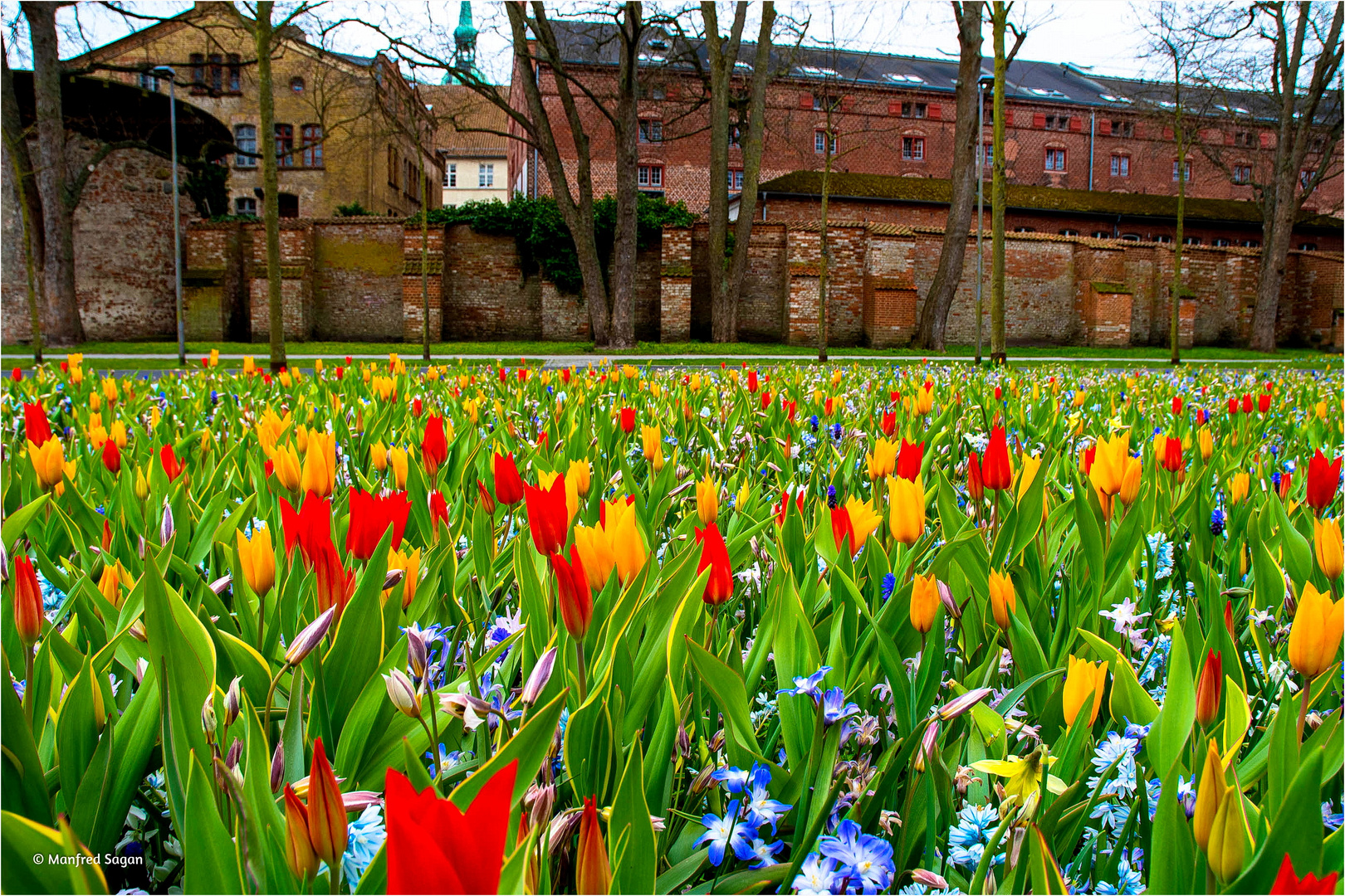 Ein Hauch von Frühling weht durch meine Heimatstadt...