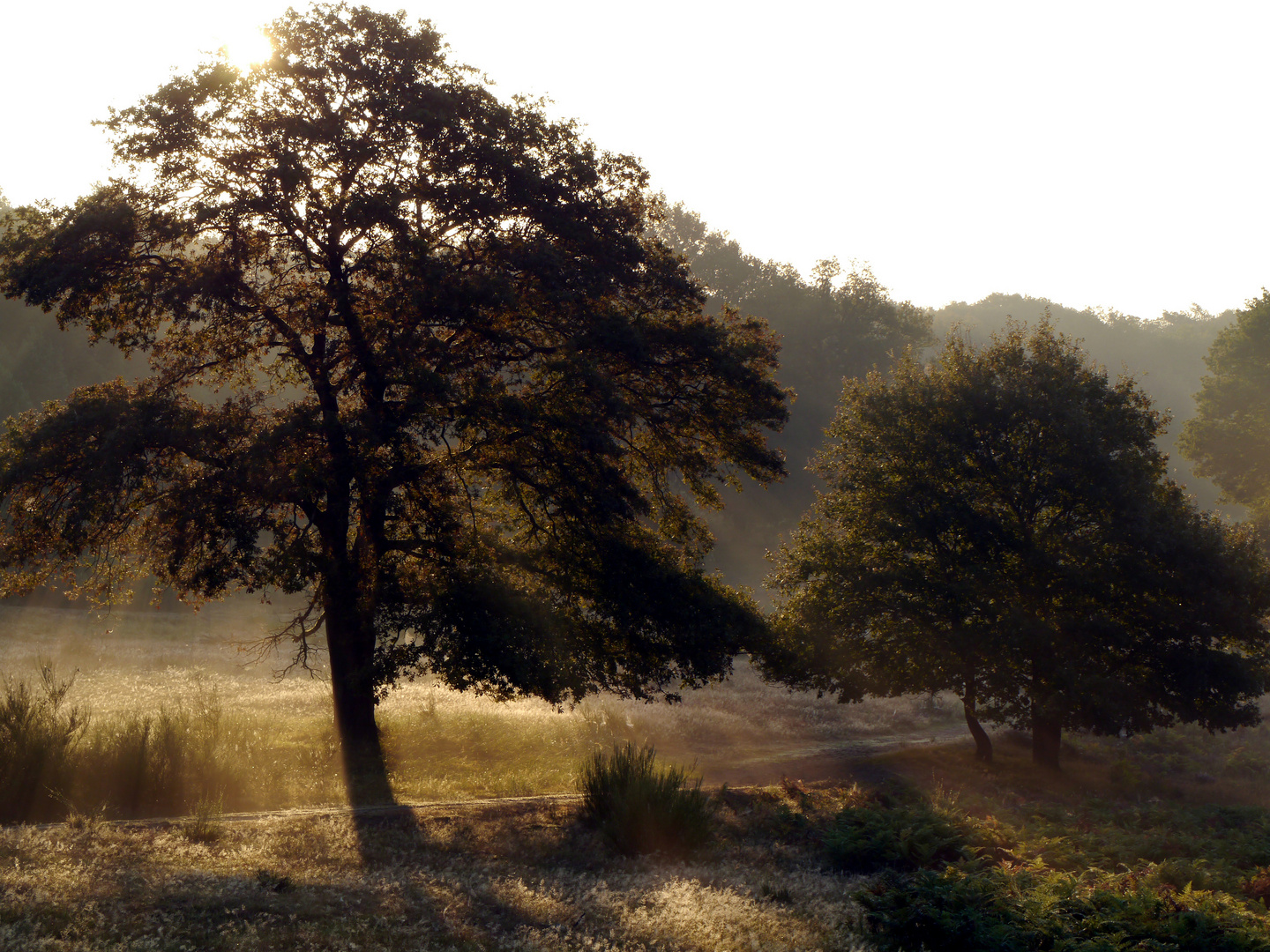 Ein Hauch von Herbst