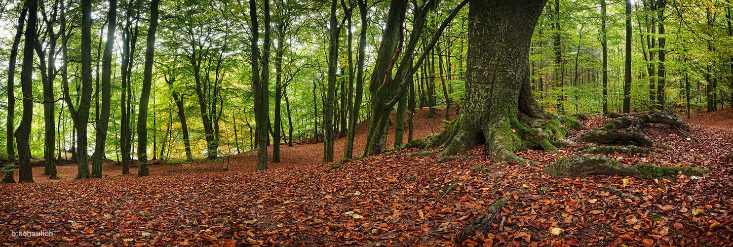 Ein Hauch von Herbst