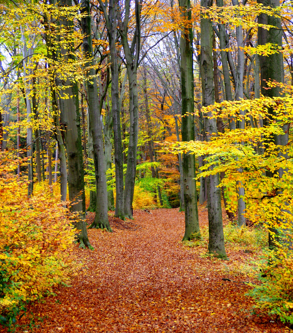 ein hauch von herbst