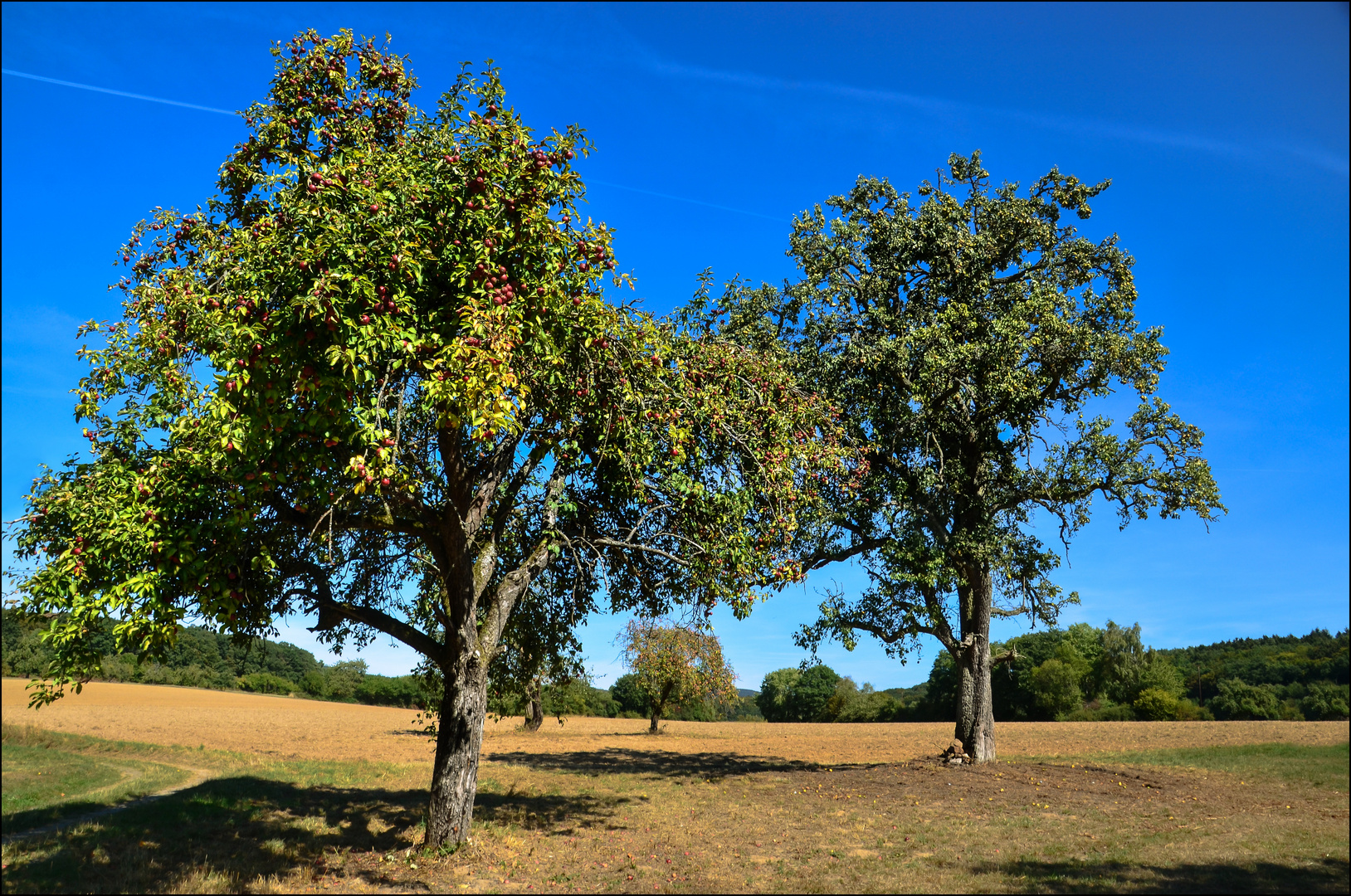 Ein Hauch von Herbst ...