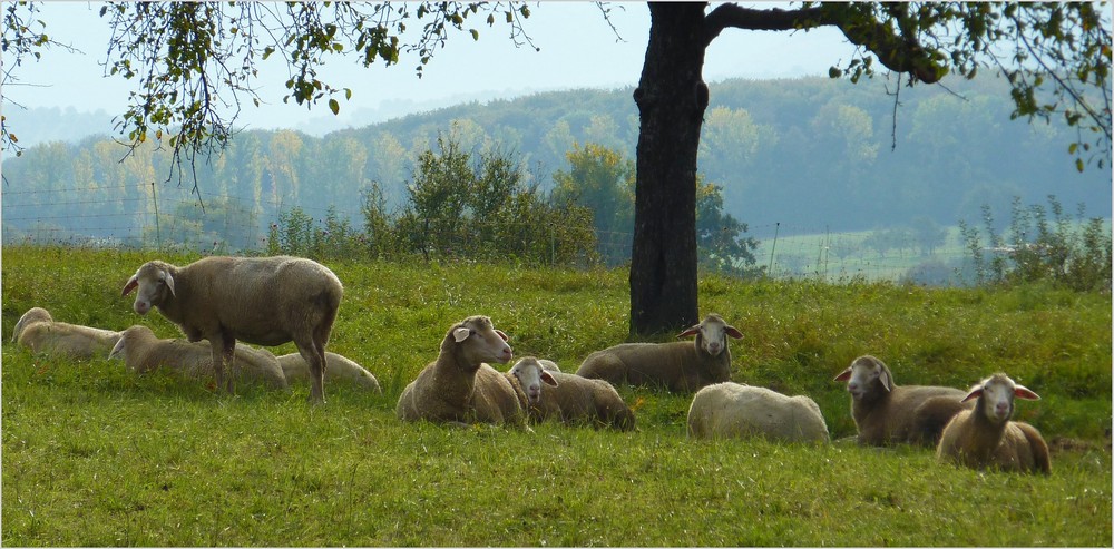 ein Hauch von Herbst