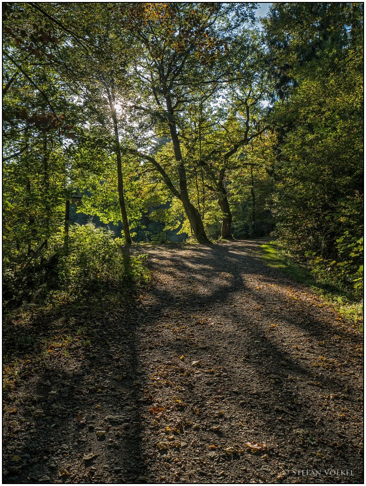 Ein Hauch von Herbst II