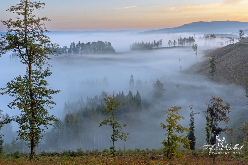 Ein Hauch von Herbst II