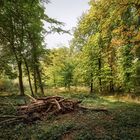 Ein Hauch von Herbstfarben