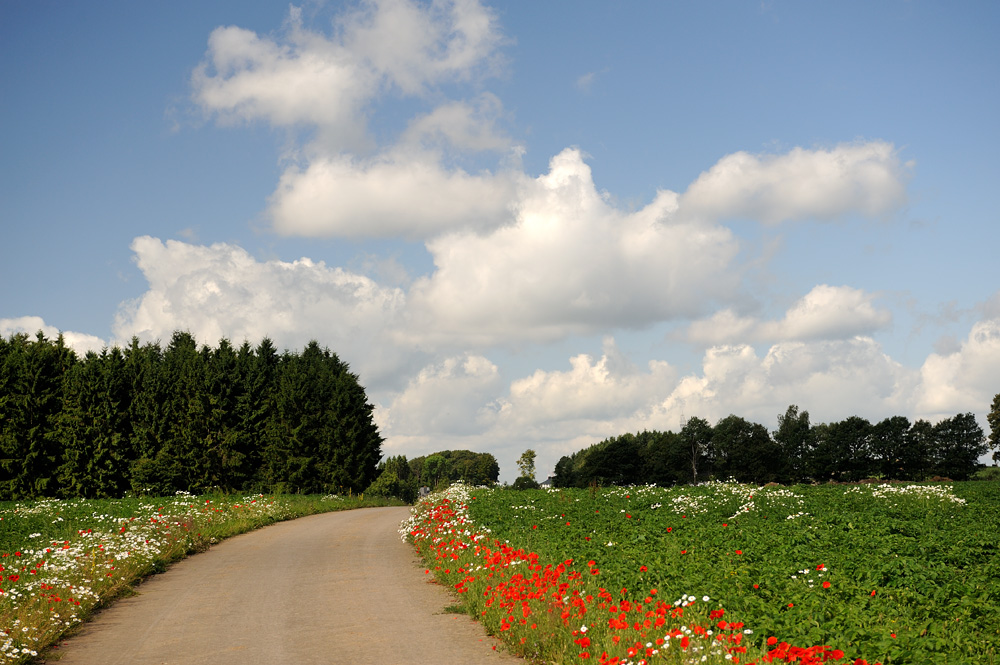 Ein Hauch von Hochsommer