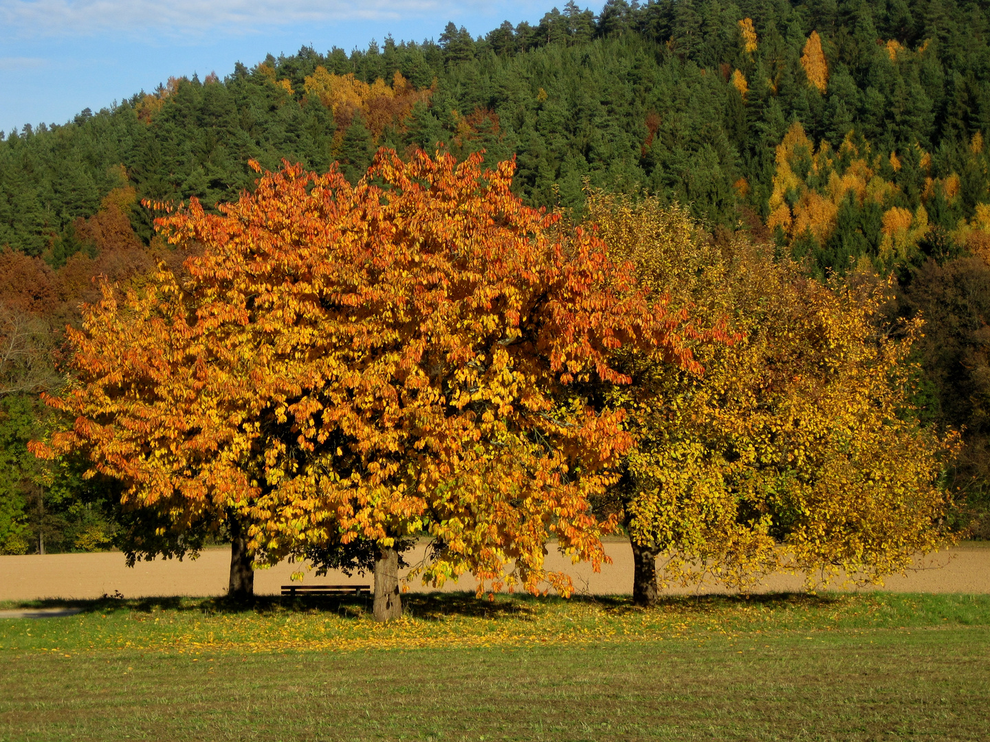 Ein Hauch von Indian Summer