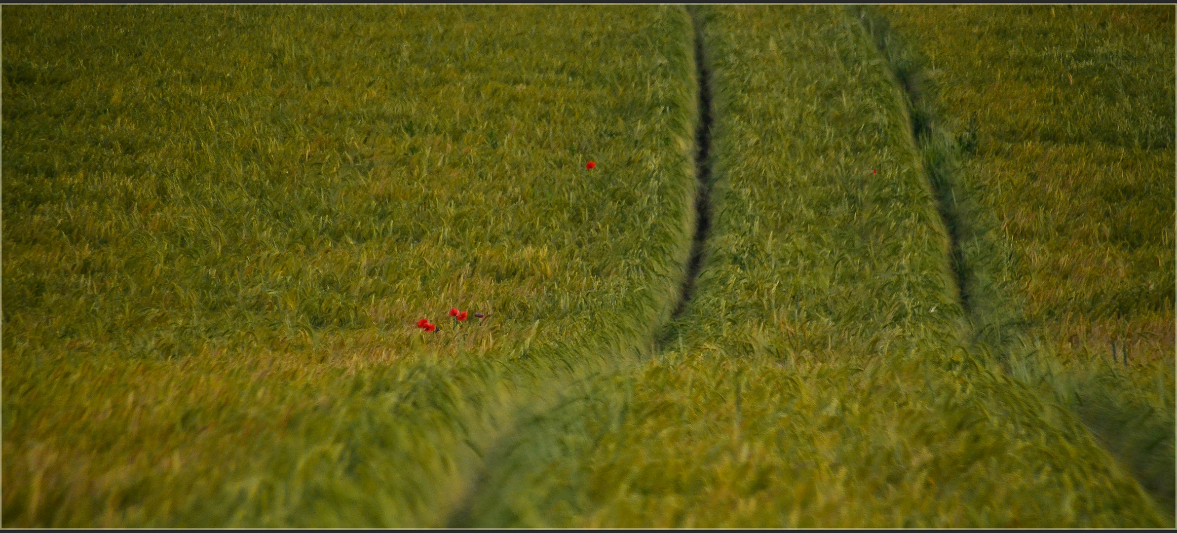 Ein Hauch von Mohn