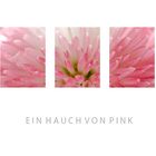 Ein Hauch von Pink