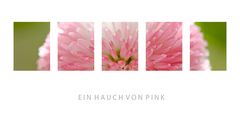 Ein Hauch von Pink