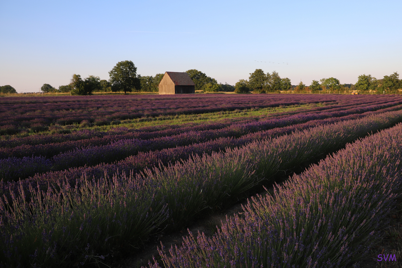 Ein Hauch von Provence in Ostsachsen