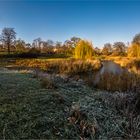 Ein Hauch von Raureif (360°-Parkansicht)