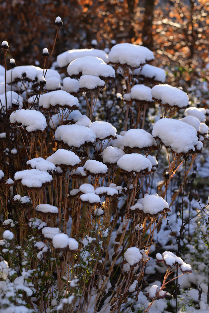 Ein Hauch von Schnee...