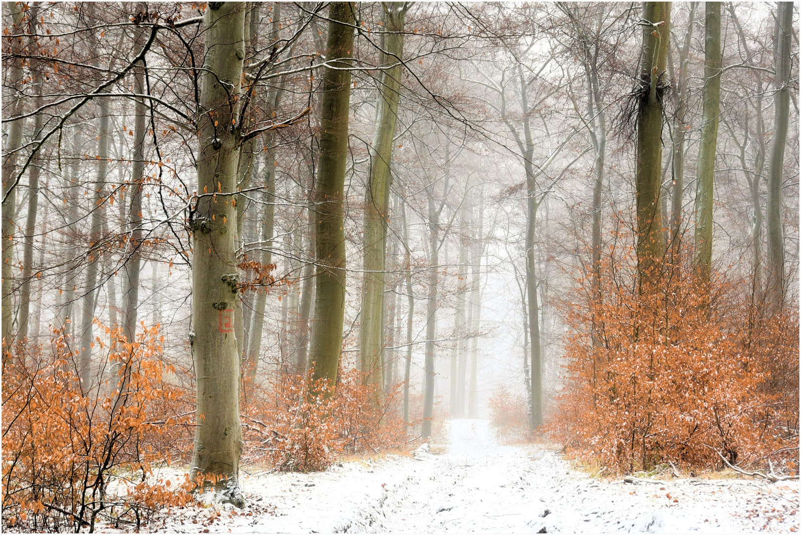 Ein Hauch von Schnee 