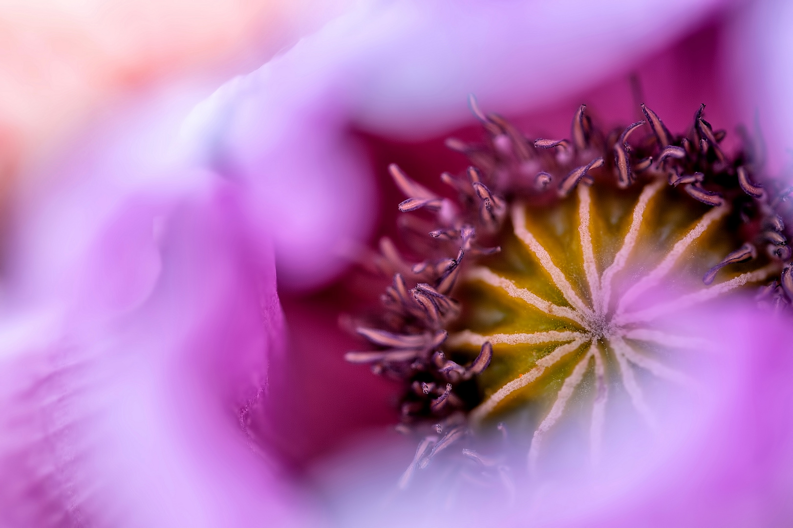 ein Hauch von Sommer