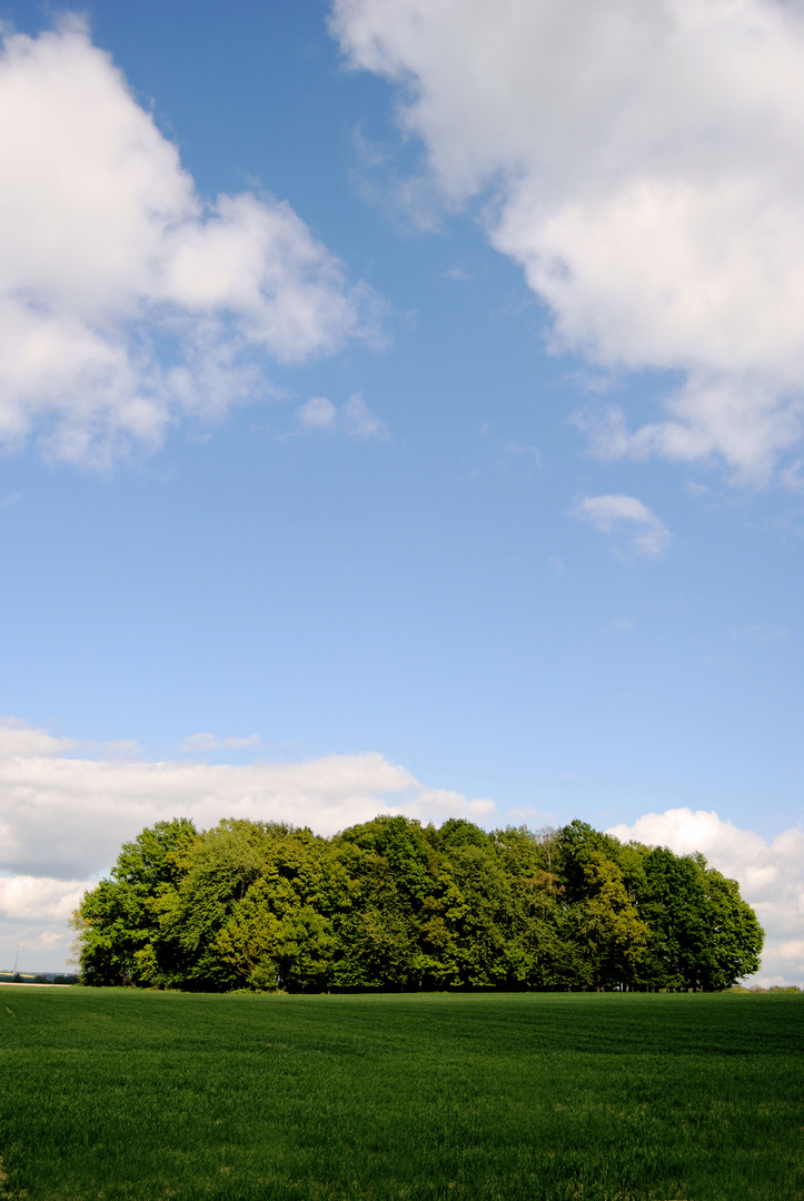 ein hauch von sommer.