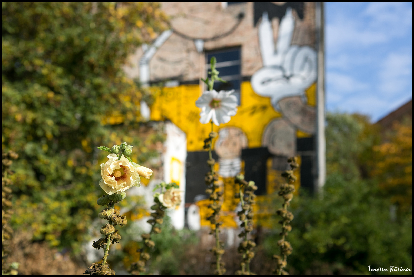 Ein Hauch von Sommer