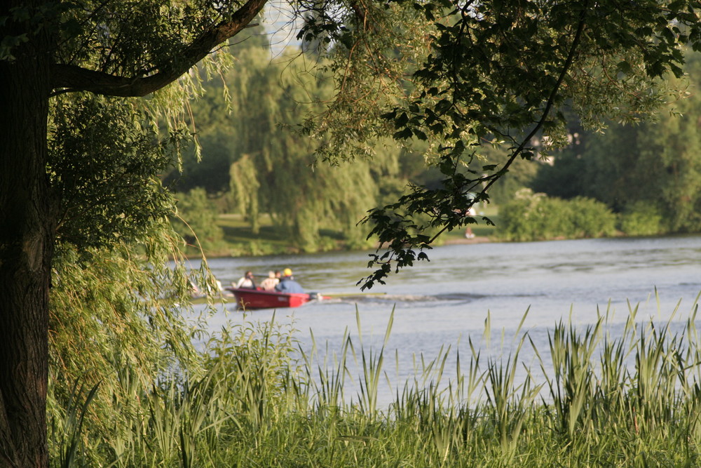 ein Hauch von Sommer