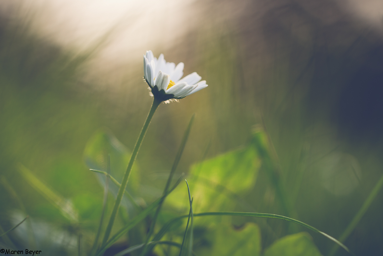 Ein Hauch von Sommer im Oktober