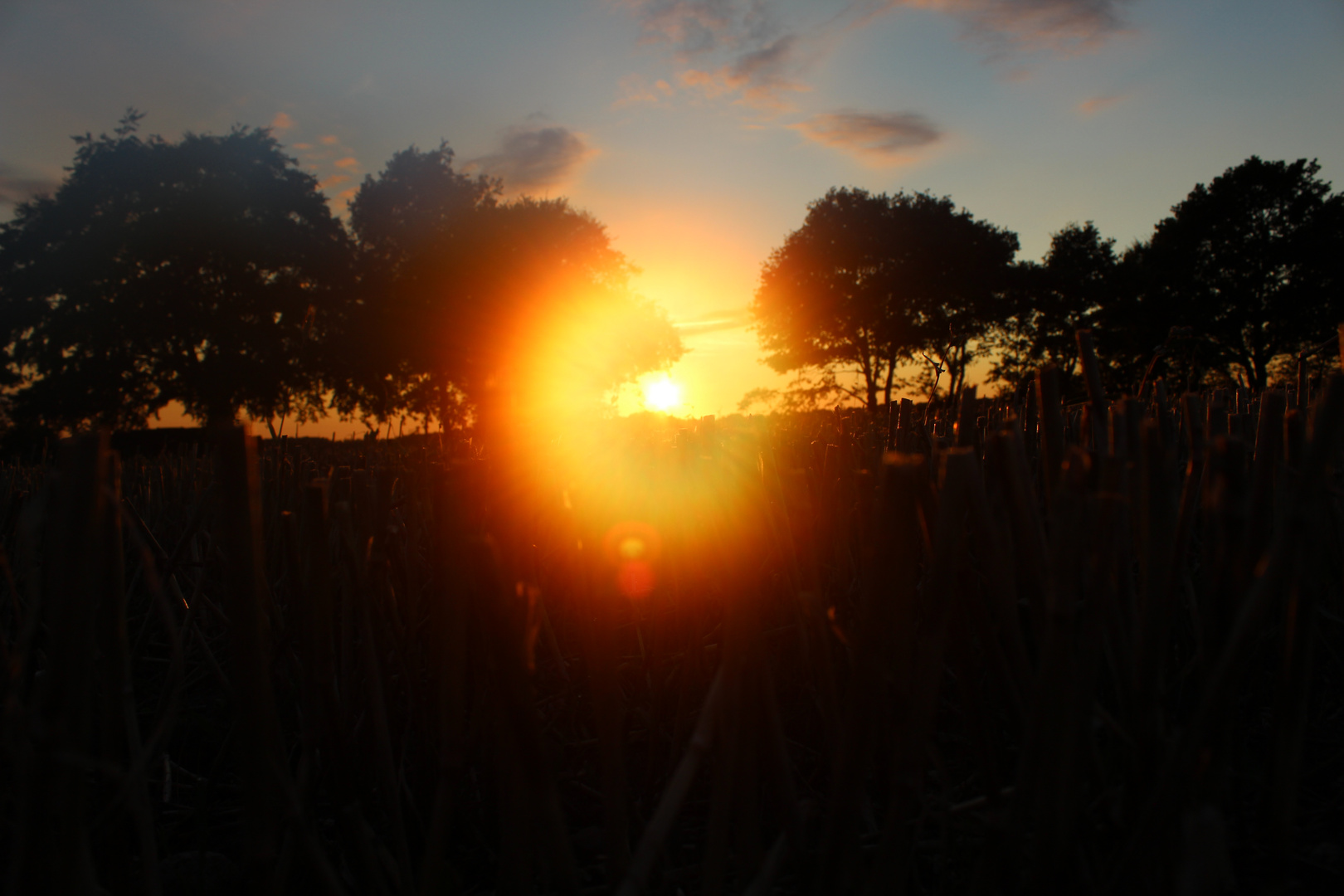 Ein Hauch von Sonne