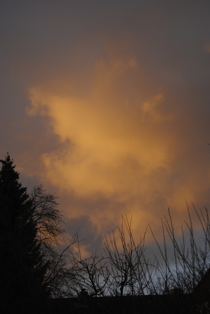 Ein hauch von Sonne heute Morgen