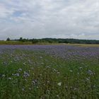 Ein Hauch von Toskana oder Provence