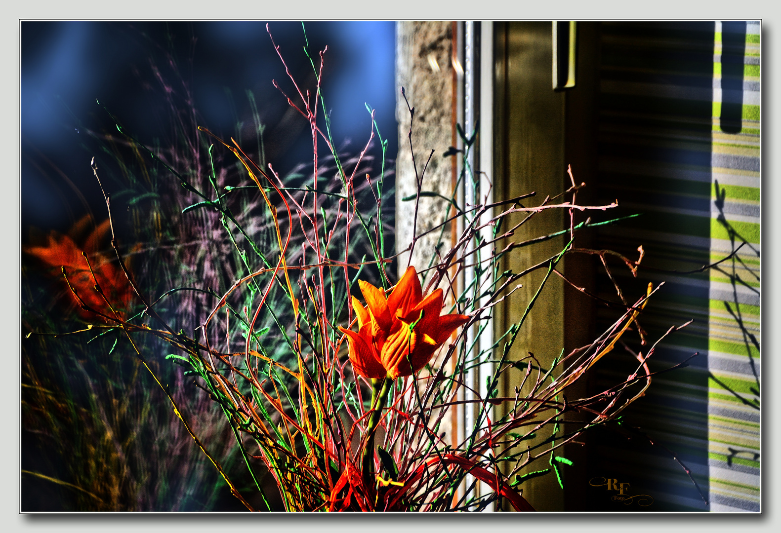 Ein Hauch von Tulpe zur Wintersonnenwende