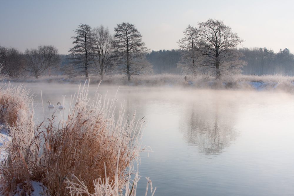 Ein Hauch von Winter