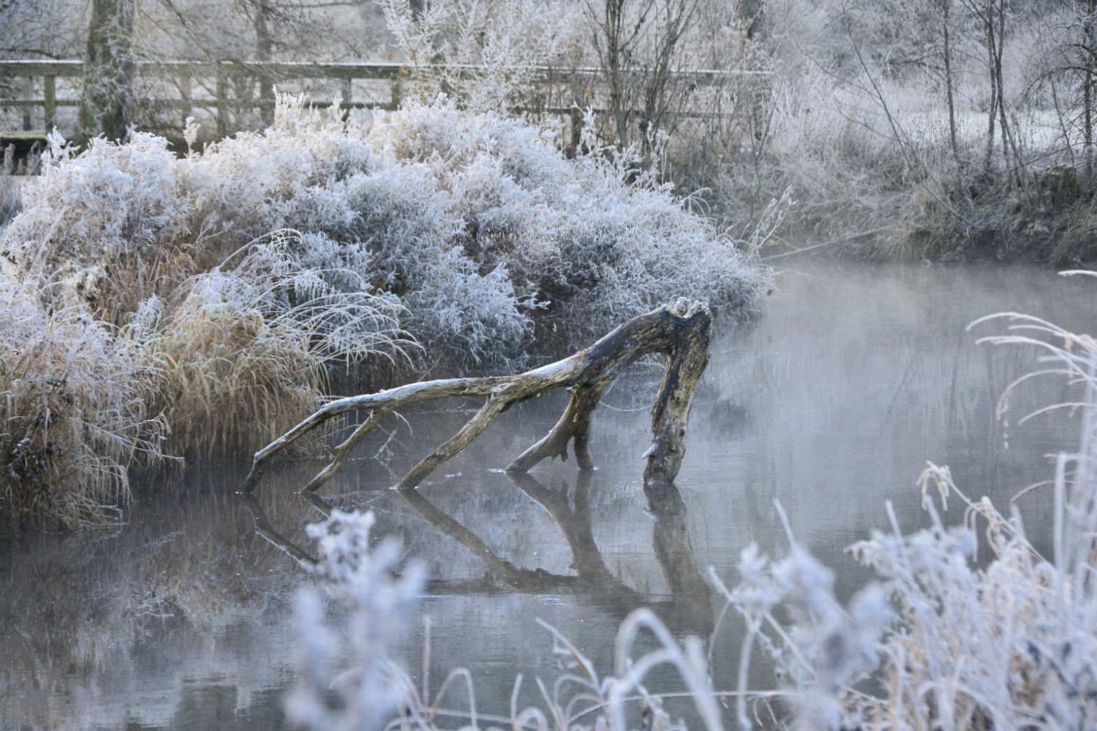 Ein Hauch von Winter