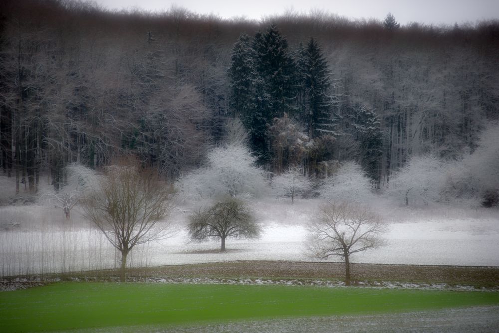 Ein Hauch von Winter