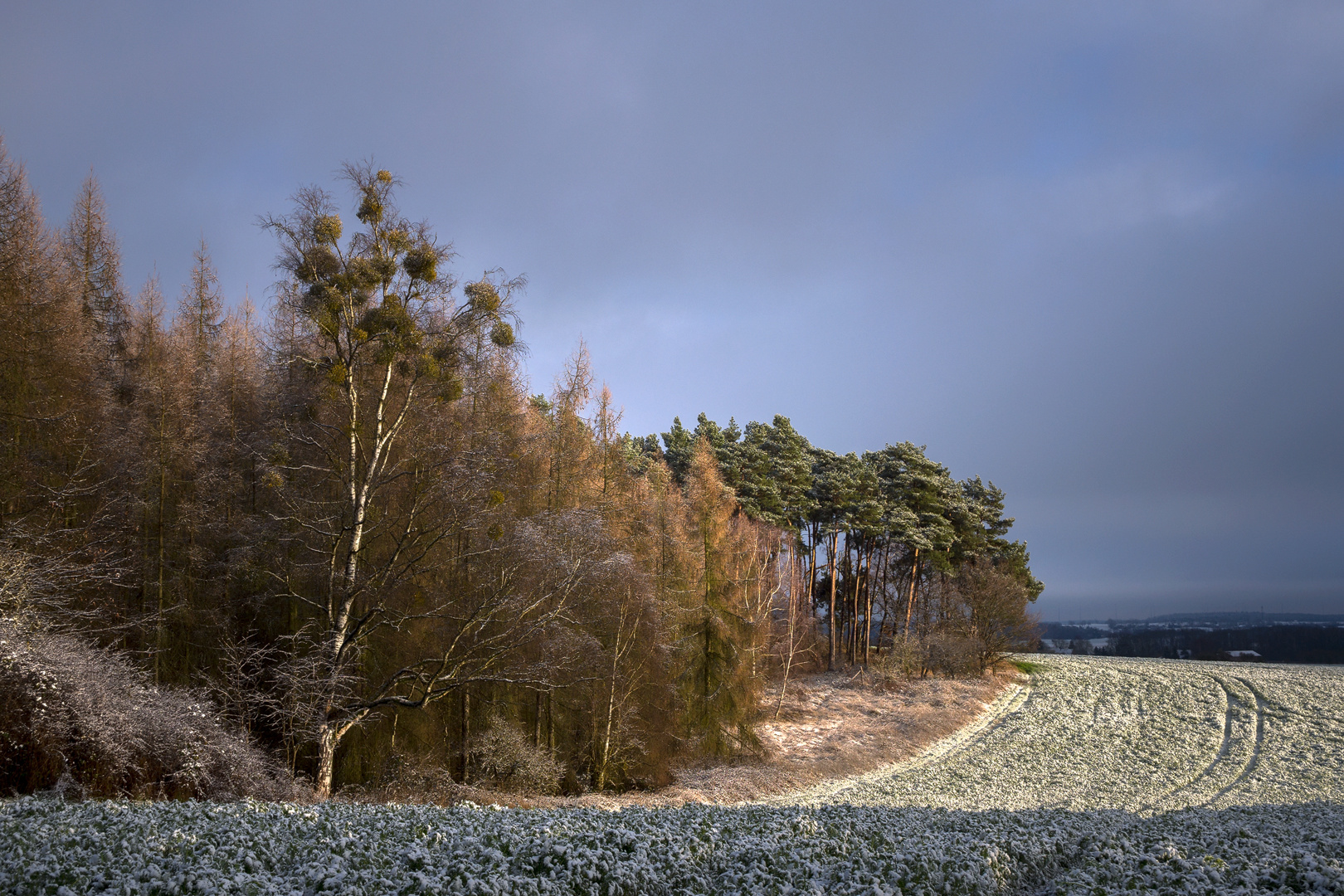 Ein Hauch von Winter...