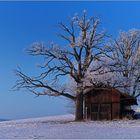 Ein Hauch von Winter