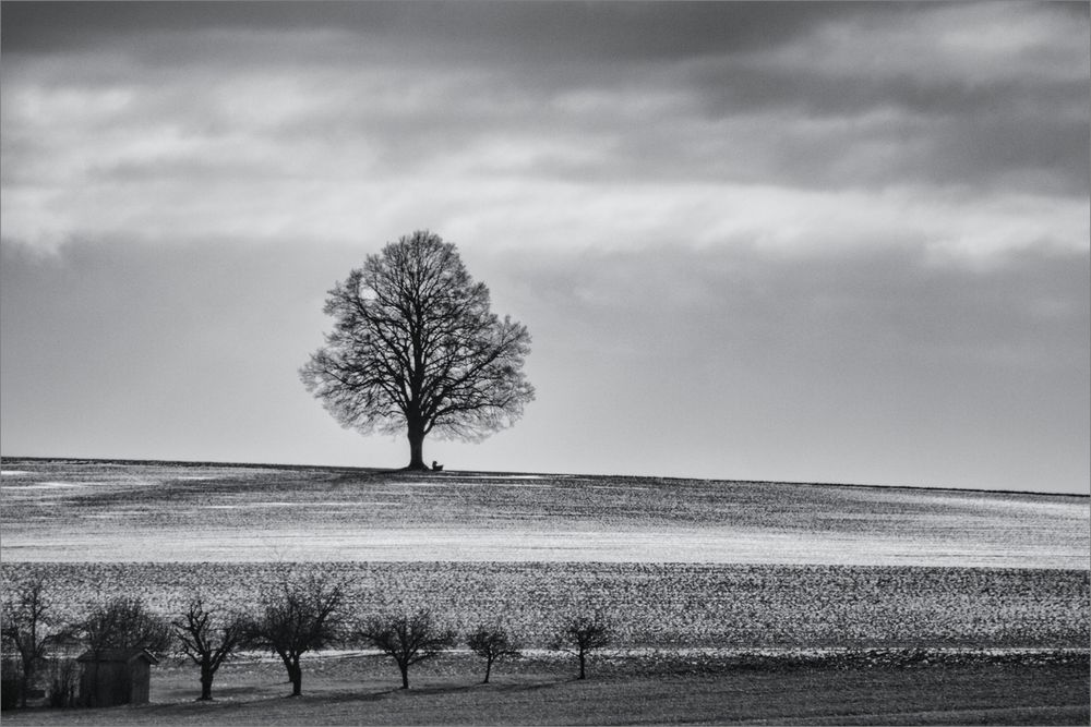 /// Ein Hauch von Winter ///