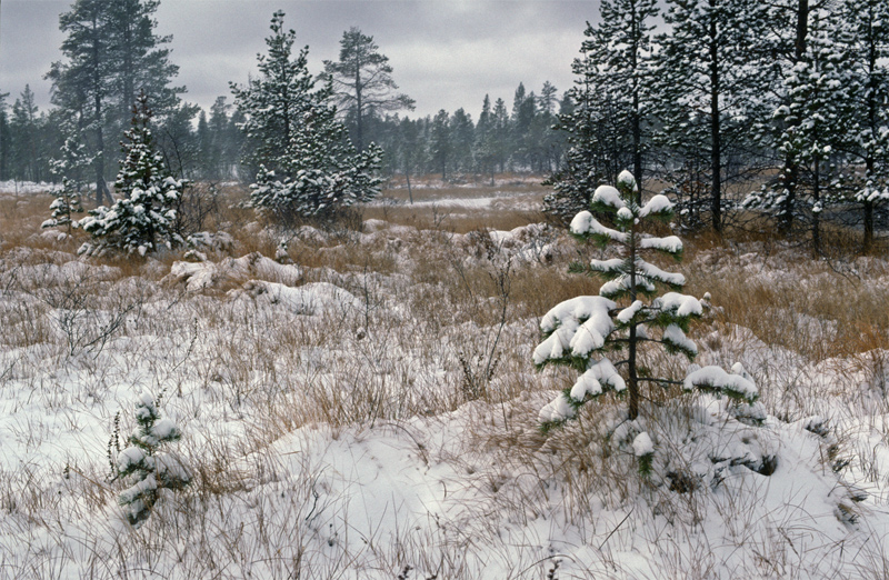 "ein Hauch von Winter ......."