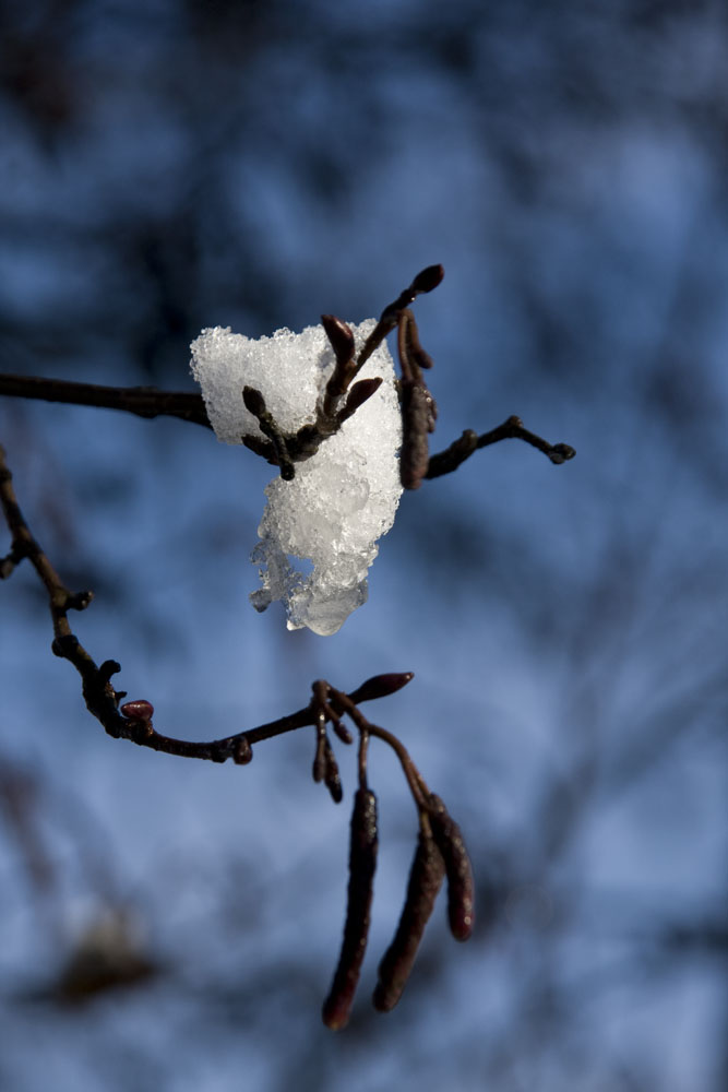 Ein Hauch von Winter