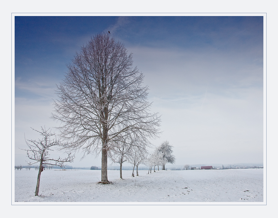 Ein Hauch von Winter