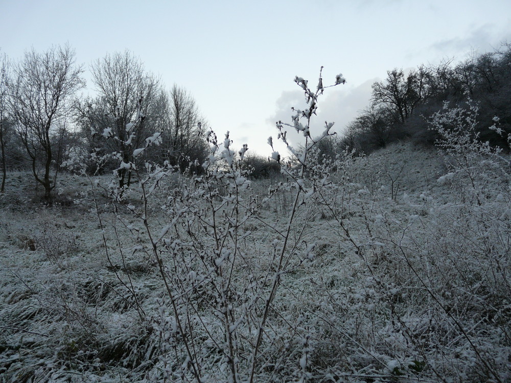 Ein Hauch von Winter