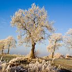 Ein Hauch von Winter