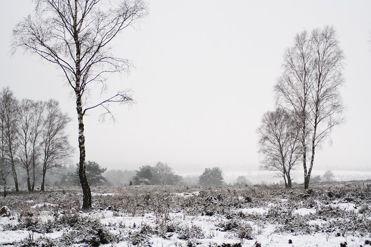 Ein Hauch von Winter