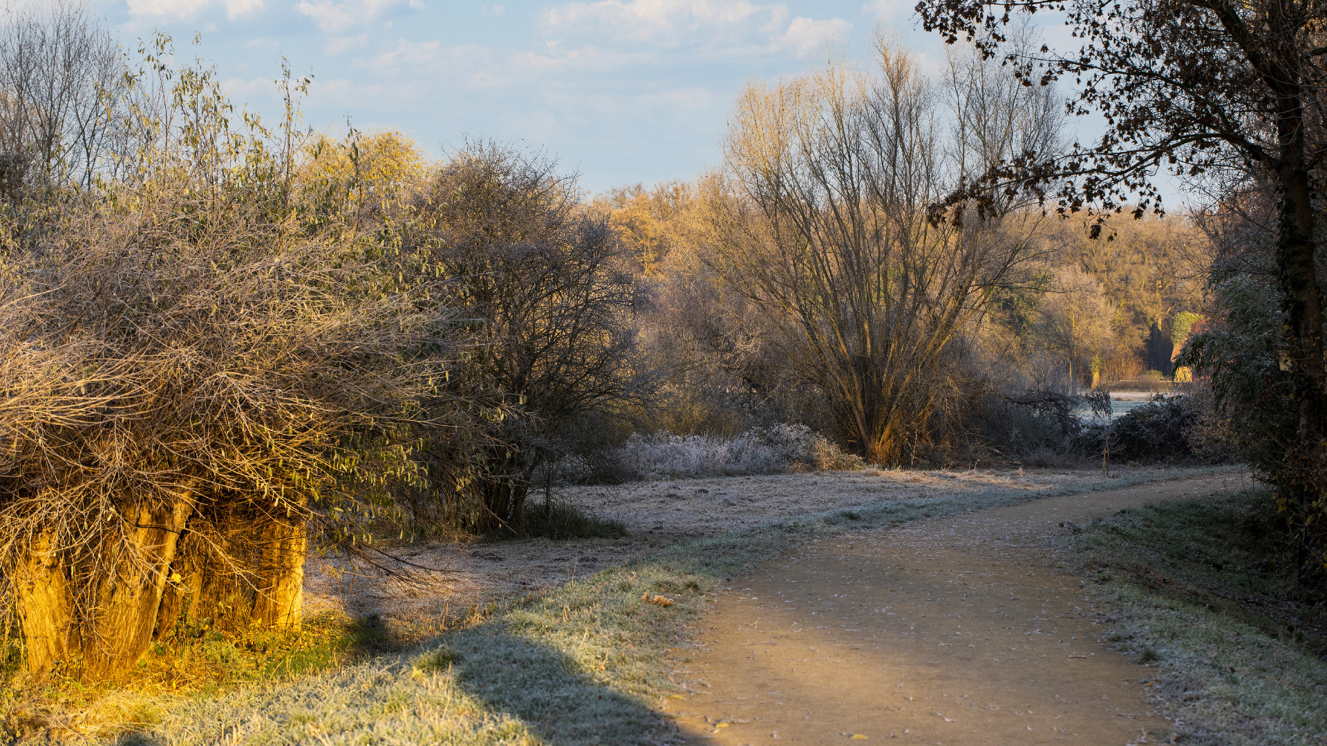 Ein Hauch von Winter 