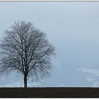 ein Hauch von Winter