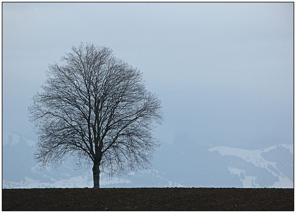 ein Hauch von Winter