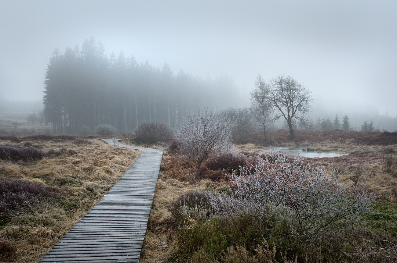 Ein Hauch von Winter