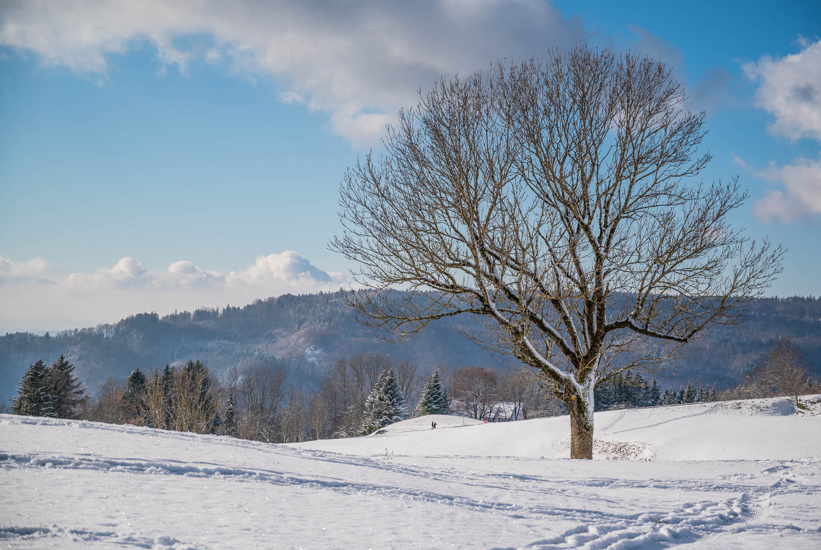 Ein Hauch von Winter