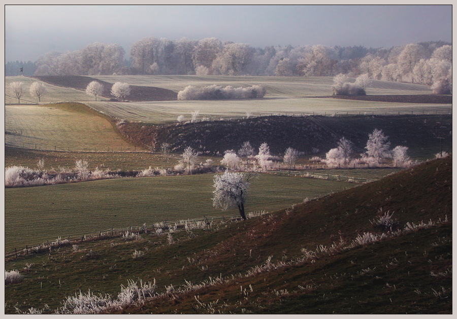 Ein Hauch von Winter