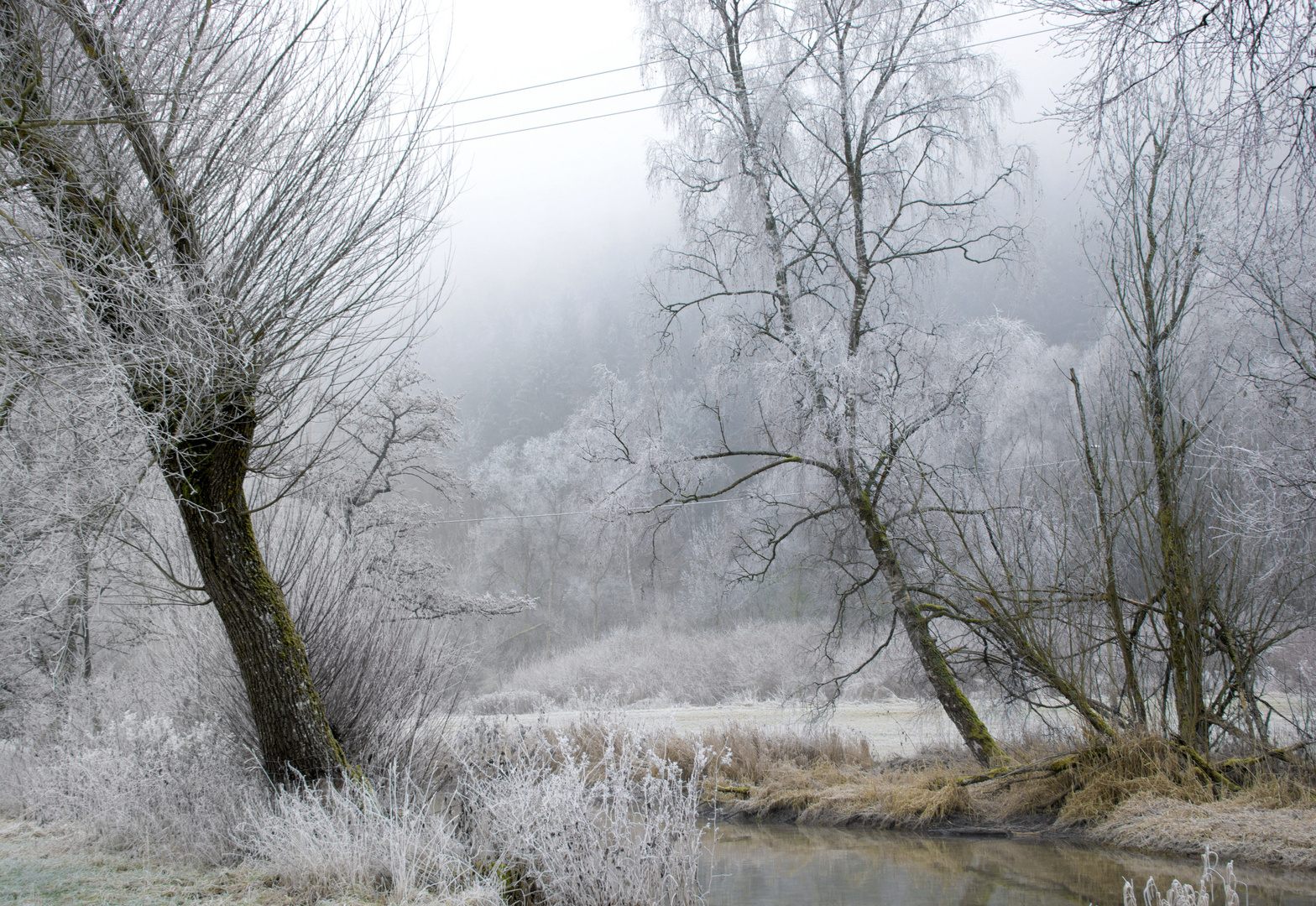 Ein Hauch von Winter