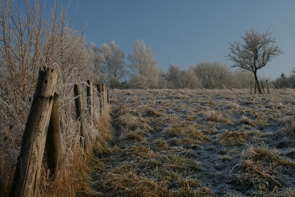 Ein Hauch von Winter