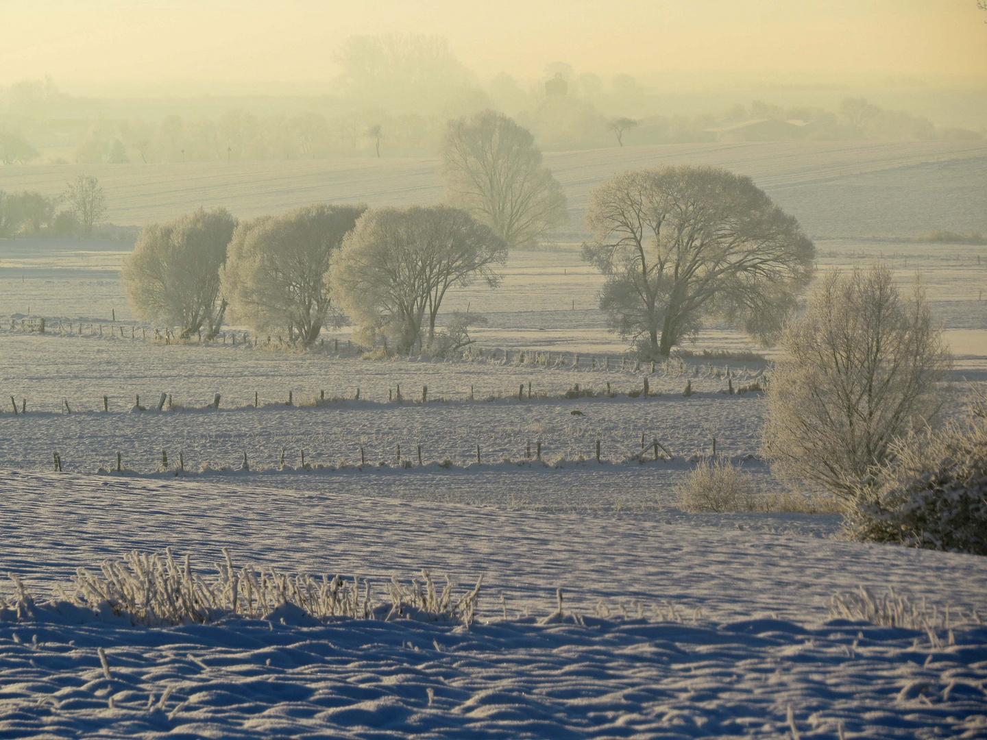 Ein Hauch von Winter